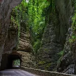 Liver 202 Tremosine